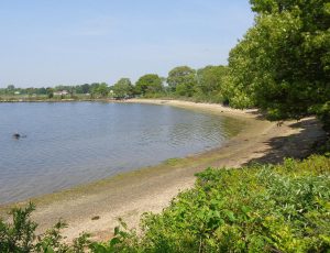 Bluff Point State Park in Groton