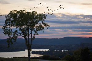 Lake Waramaug State Park